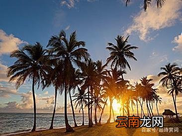 关于夏天的诗句摘抄 夏天经典诗