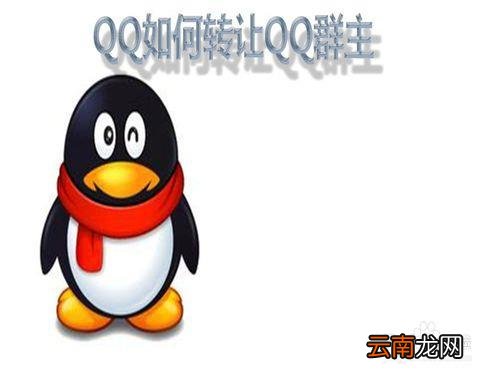 群主可以把群转让给管理员吗 qq群主怎么转让