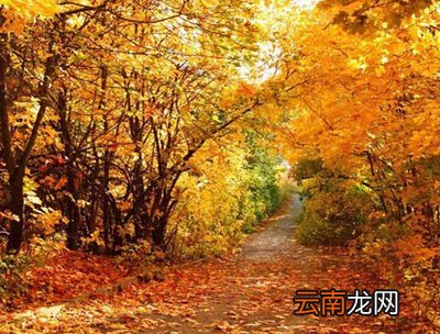 描写秋天景色拟人句子 秋景的段子