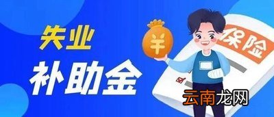 失业补助金审核需要多长时间