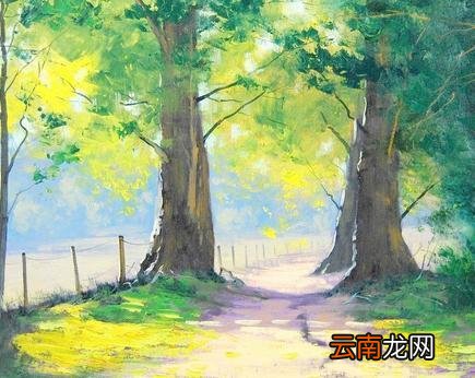 关于描写夏天的诗句及解释 描写夏天的风景