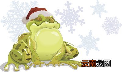 冬天,雪花什么青蛙什么