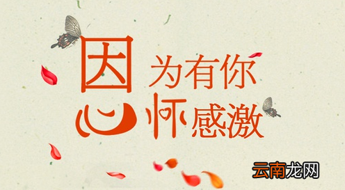 感恩公司最朴实的句子有哪些