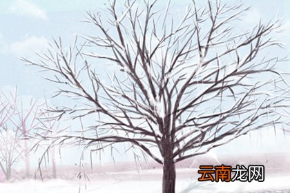 关于冬天的古诗