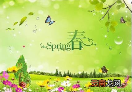 描写春天景物的优美句子，字数少点