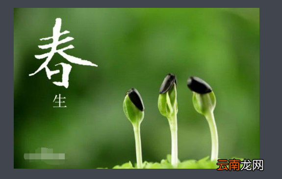 春天的象征意义 春天的意味者什么