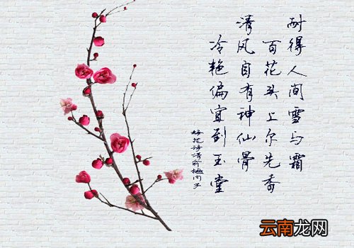 赞美老师的优美句子 初中关于老师的话