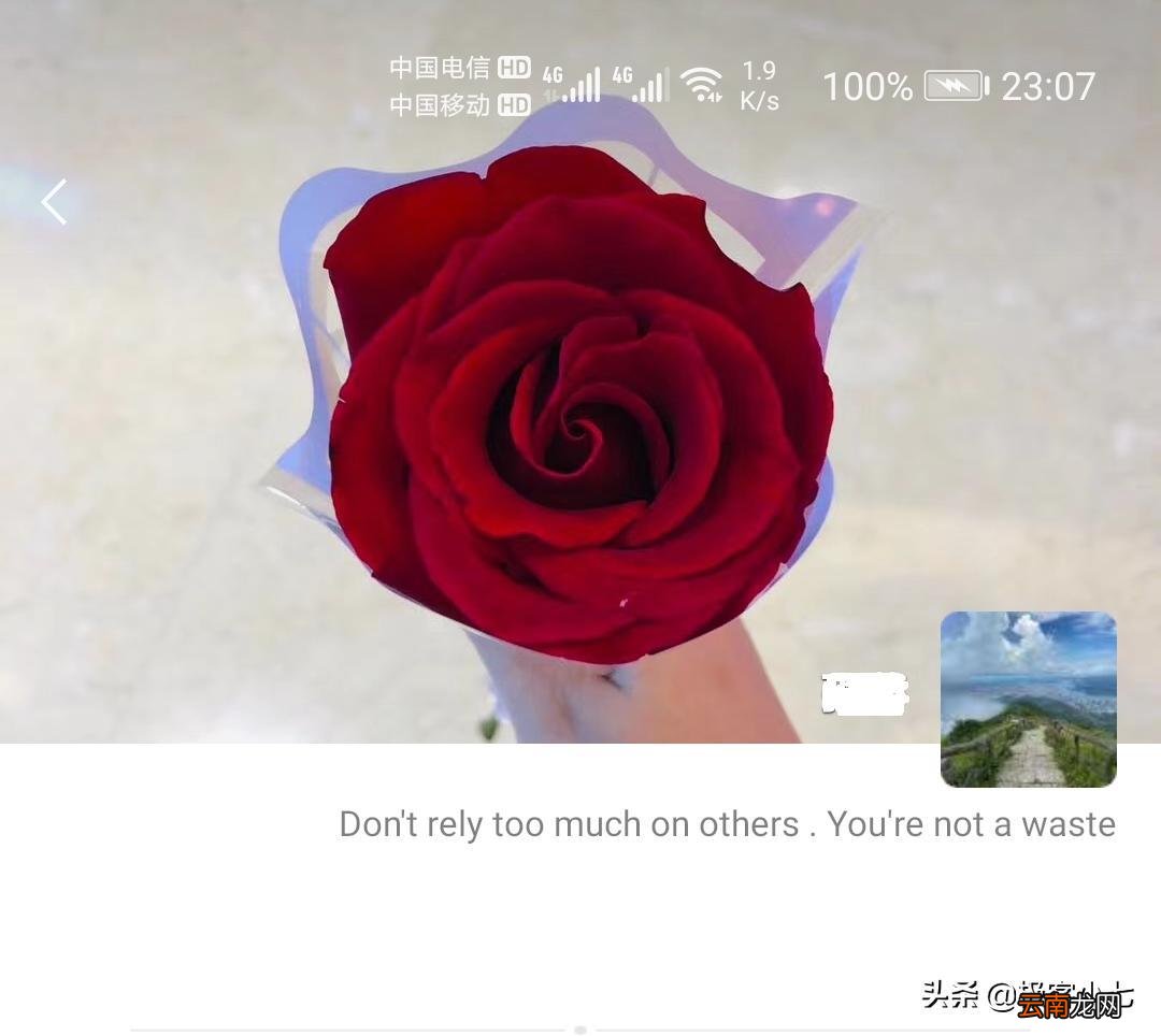 一条横线一点是拉黑还是删除 微信朋友圈屏蔽了显示什么