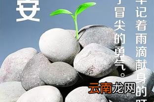 最打动人心的励志句子