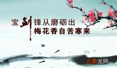 奋斗励志的句子