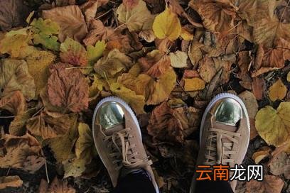 3y是多大码 尺码3y是多大码
