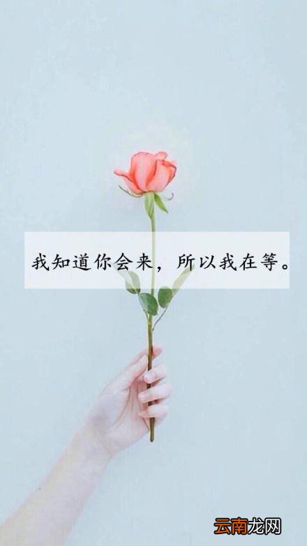 现实生活又很扎心的句子