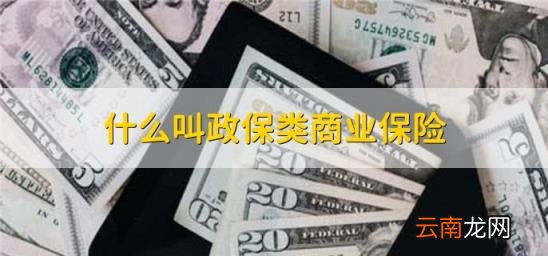 什么叫政保类商业保险 商业保险是哪些