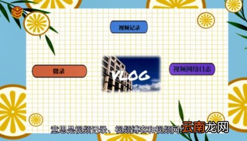 vlog是什么意思 plog是什么意思