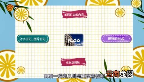 vlog是什么意思 plog是什么意思