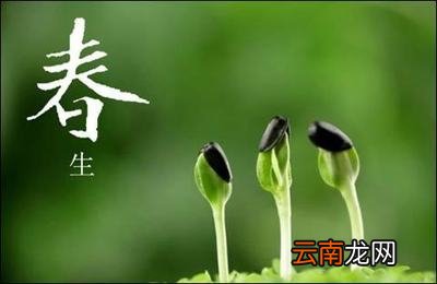 关于春天的作文