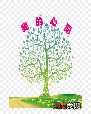 我的心愿500字优秀作文