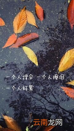 人生感悟的句子