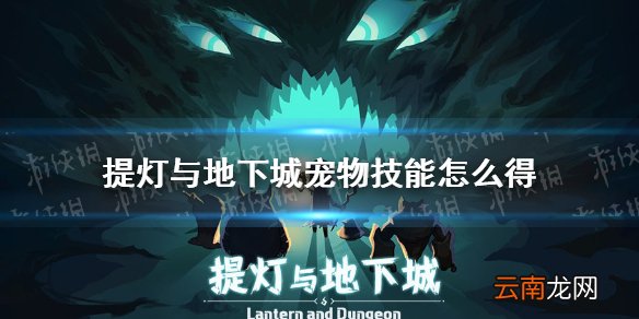 提灯与地下城宠物技能怎么得 提灯与地下城宠物技能攻略