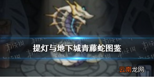 提灯与地下城青藤蛇怎么样 提灯与地下城青藤蛇契约兽图鉴