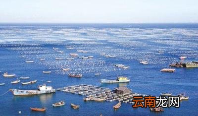 原创 2022年海洋资源开发技术专业未来就业前景形势分析解读