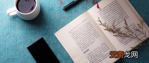 逆风如解意容易莫摧残什么意思 崔道融