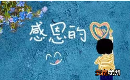 感恩的句子经典语录