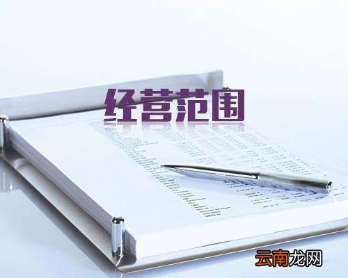 网络公司经营范围