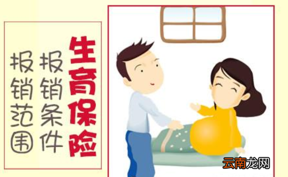生育保险报销范围