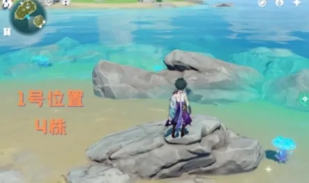 《原神》海灵芝位置