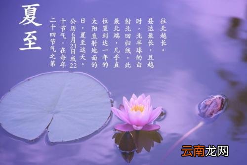 夏天的诗句有哪些 夏天的古诗