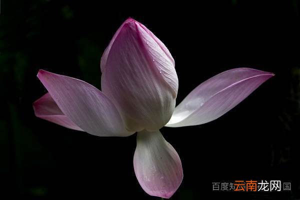 描写春夏秋冬的古诗各一句 季节的诗句