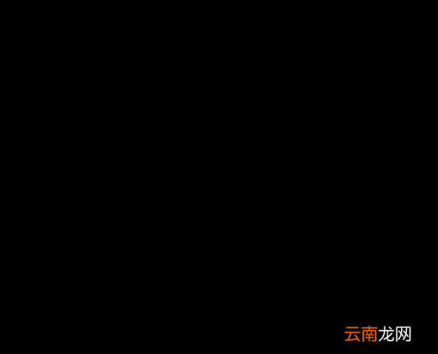 11岁的天天和9岁王诗龄合影