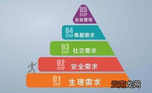 需要层次理论和双因素理论的内容