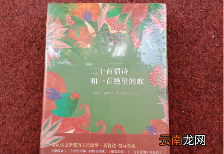 我想对你做春天对樱桃树做的事