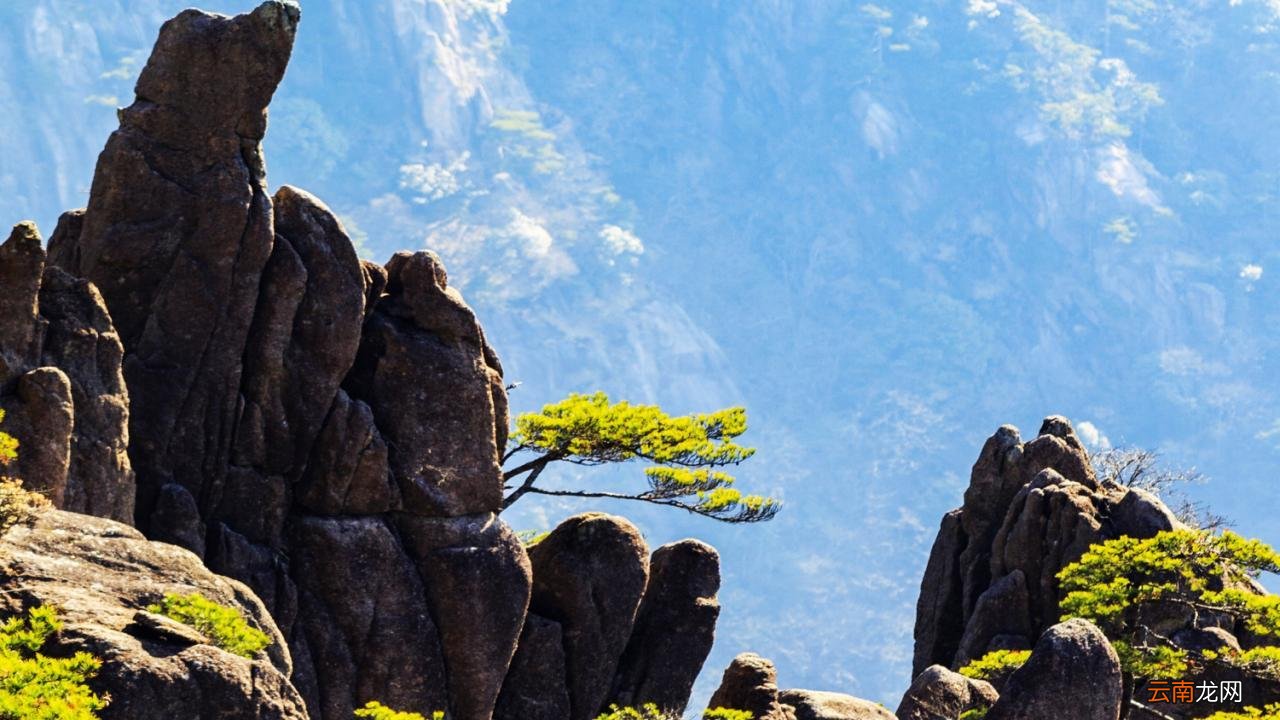 黄山四绝有哪些特点 黄山有四绝分别是哪四绝