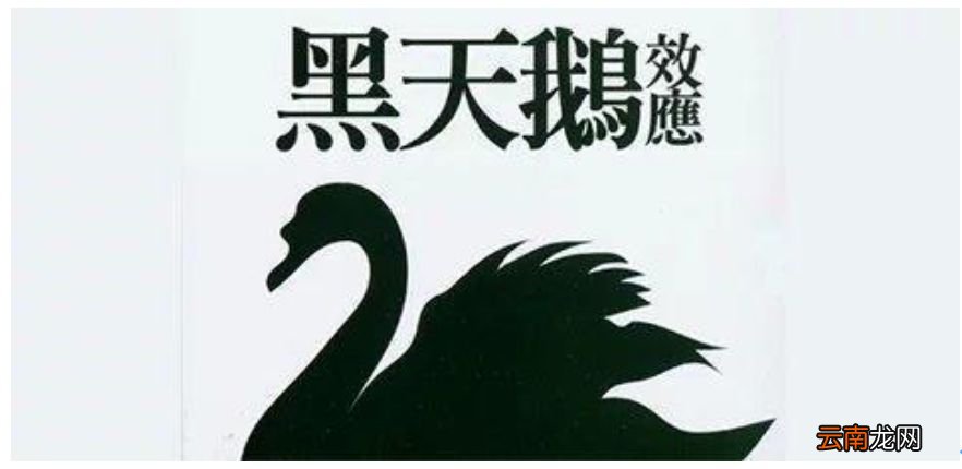 黑天鹅事件