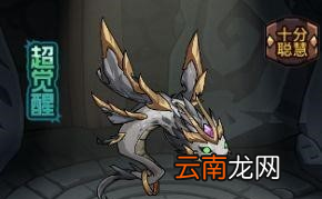 提灯与地下城契约兽性格怎么洗练 提灯与地下城宠物性格攻略