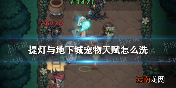 提灯与地下城宠物天赋怎么洗 提灯与地下城宠物天赋攻略