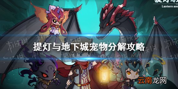 提灯与地下城宠物分解值得吗 提灯与地下城宠物分解攻略