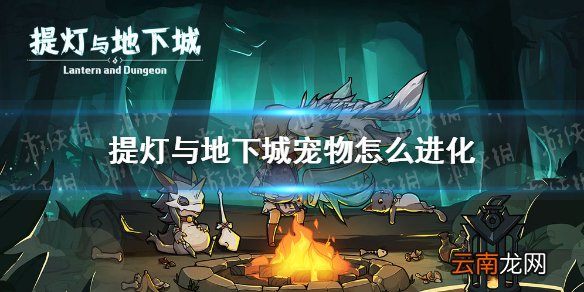 提灯与地下城宠物进化方法介绍 提灯与地下城宠物怎么进化