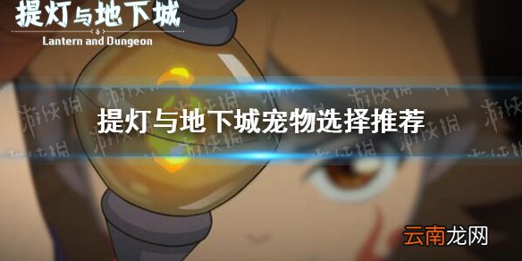 提灯与地下城宠物选择哪些 提灯与地下城宠物搭配出战推荐