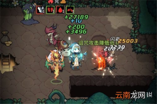 提灯与地下城宠物选择哪些 提灯与地下城宠物搭配出战推荐