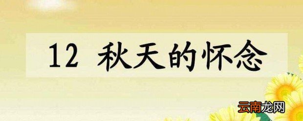 秋天的怀念读后感秋天的怀念句子