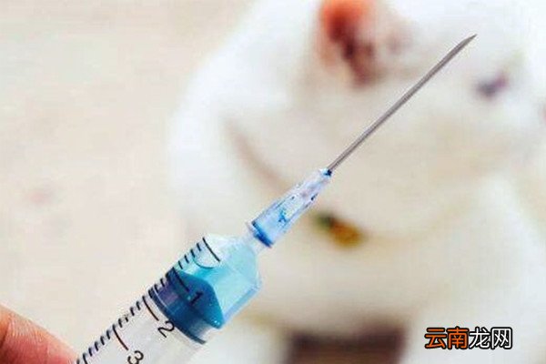 什么情况下被猫狗咬了，不需要打狂犬疫苗