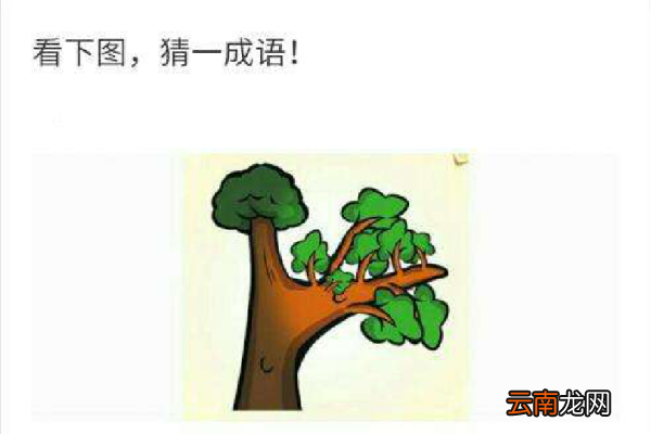 元宵灯谜：元宵之后柳吐芽