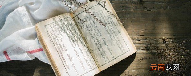 儿童散学归来早的下一句忙趁东风