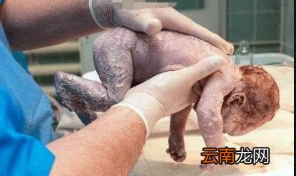 腊八出生的人有啥说法没 为什么腊八出生不好