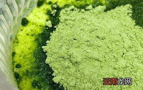 羽衣甘蓝粉怎么吃排便 羽衣甘蓝粉喝的我便秘了怎么回事