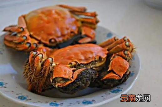 吃螃蟹喝牛奶会不会食物中毒 螃蟹和牛奶一起吃会中毒吗